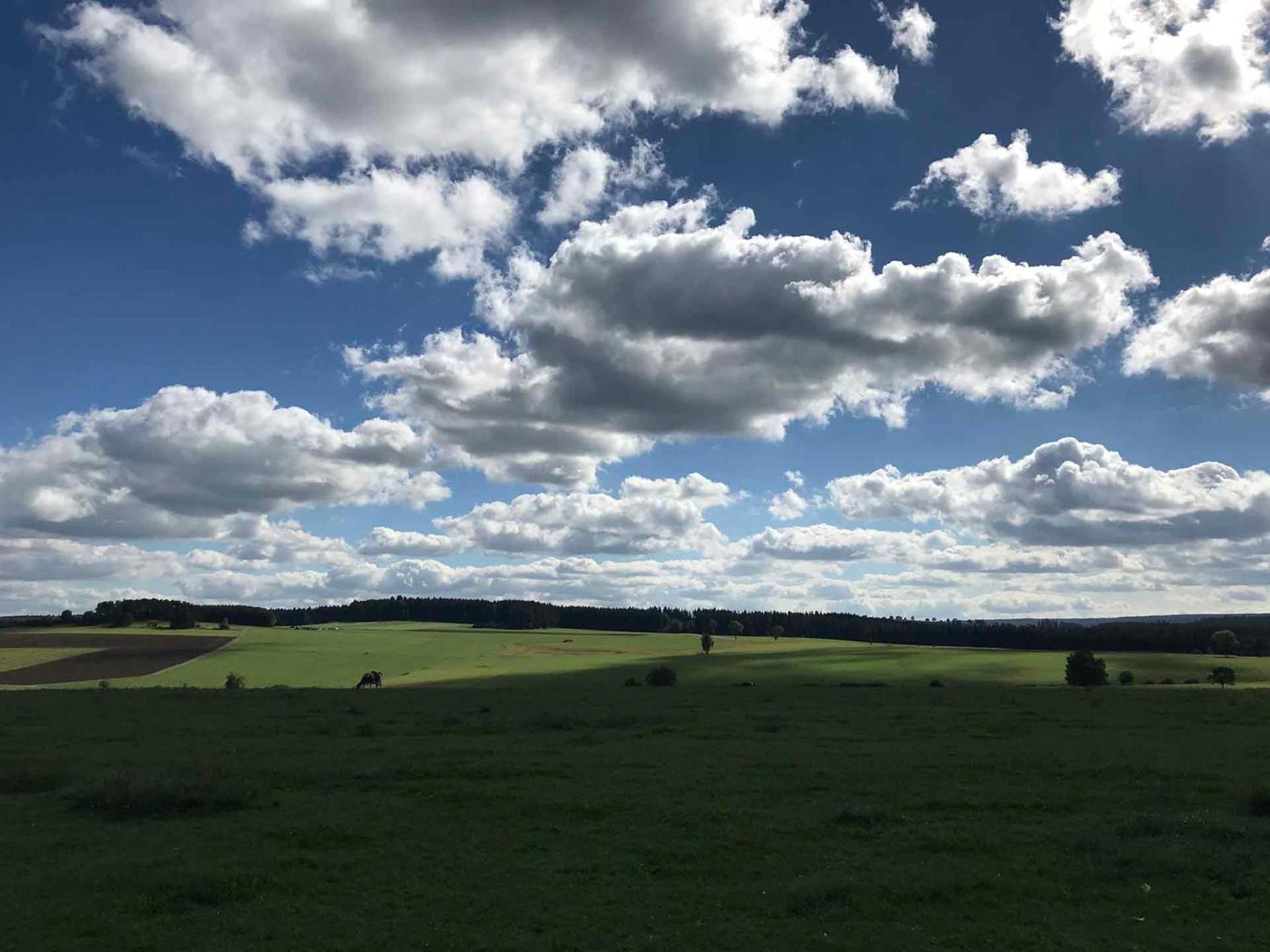 Gaestehaus Roessle Rötenbach Exteriér fotografie
