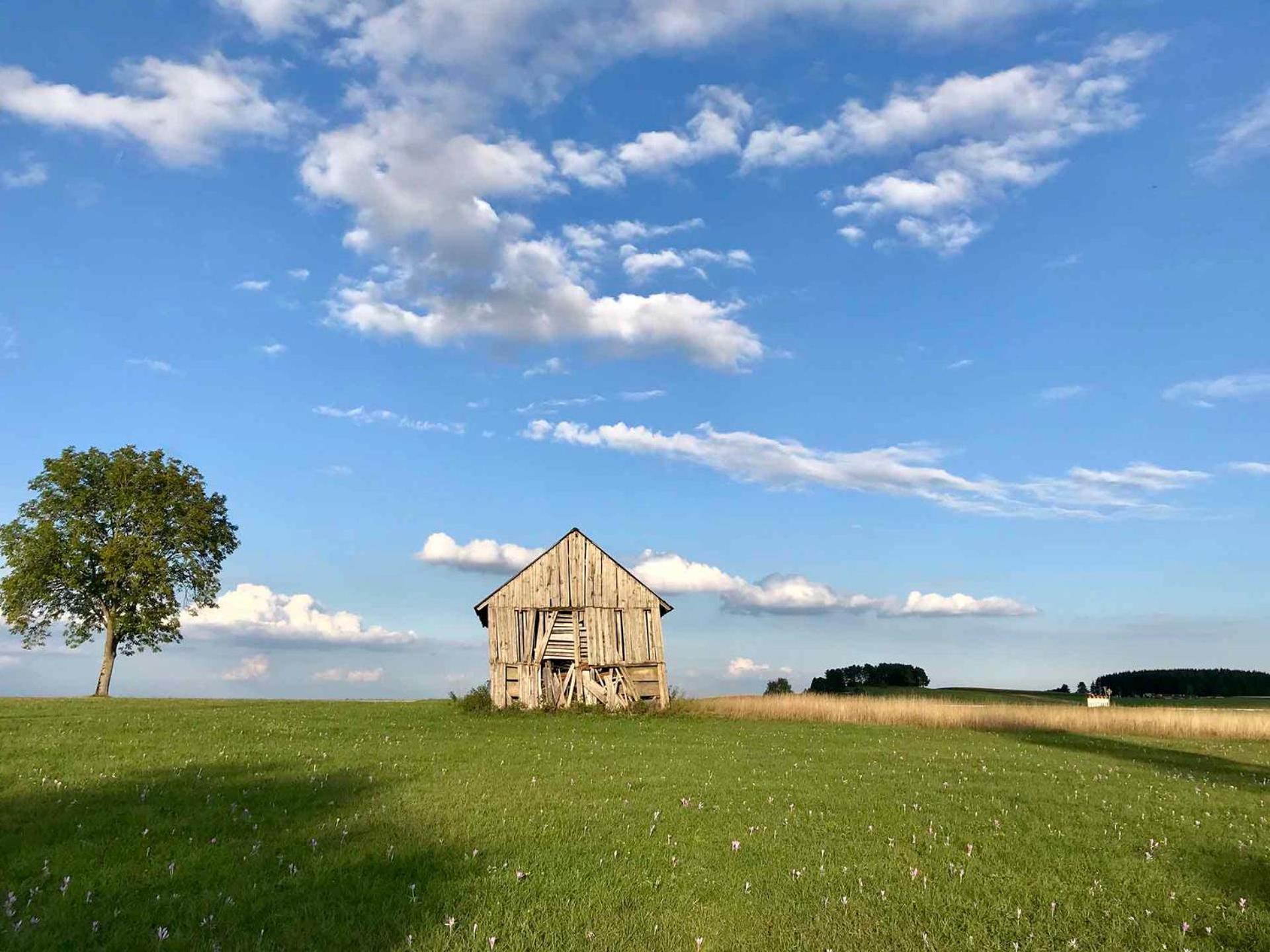 Gaestehaus Roessle Rötenbach Exteriér fotografie