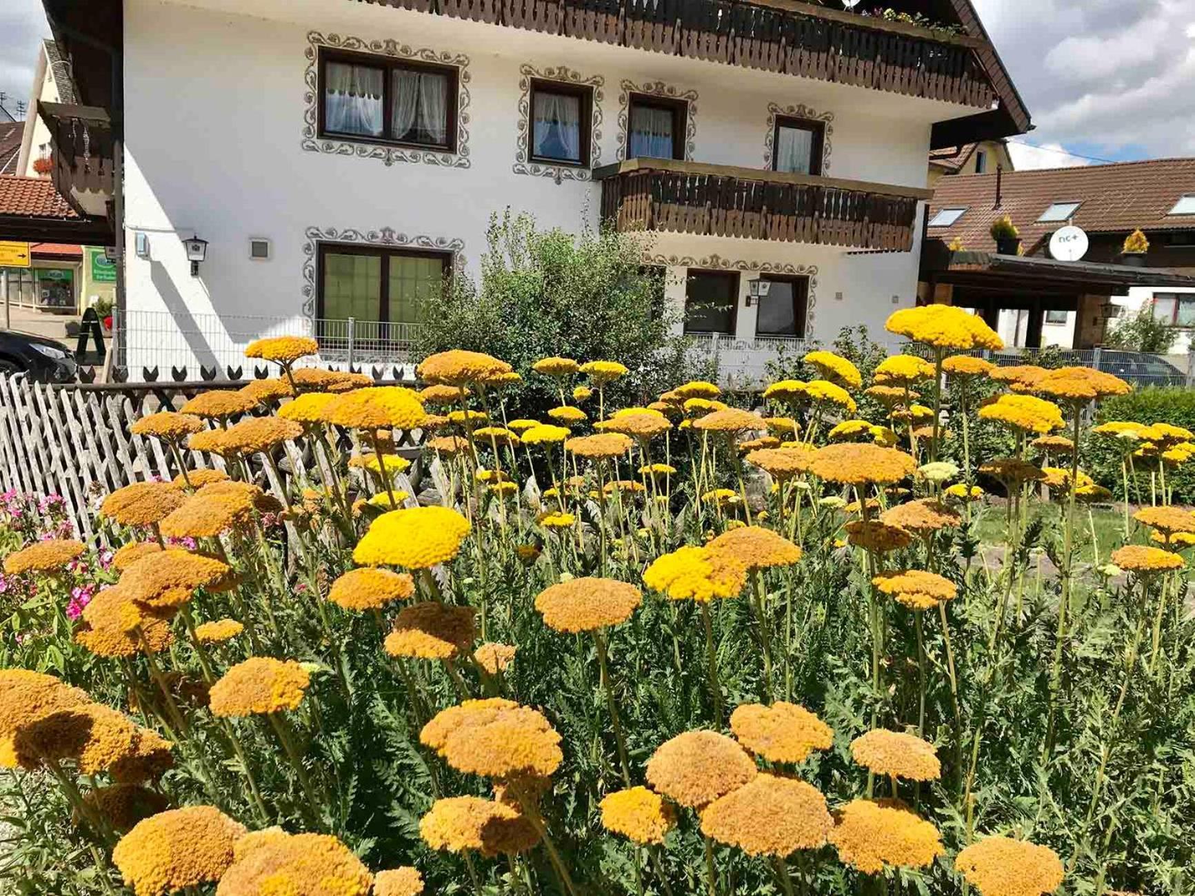 Gaestehaus Roessle Rötenbach Exteriér fotografie
